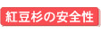 �g�����̈��S��